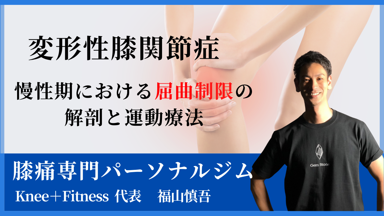 【変形性膝関節症】慢性期における屈曲制限の解剖と運動療法