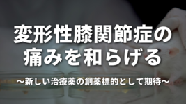変形性膝関節症の痛みを和らげる ～新しい治療薬の創薬標的として期待～