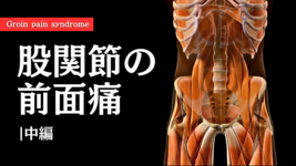 股関節の前面痛-中編-