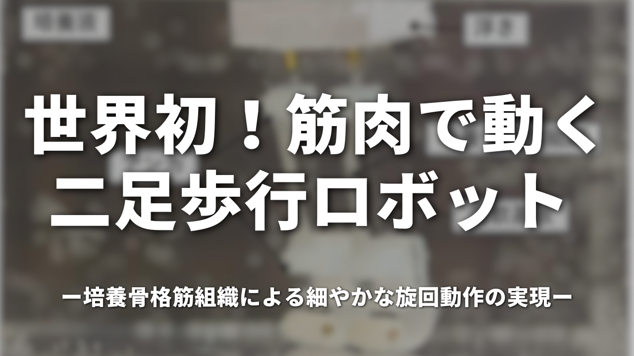 世界初！筋肉で動く二足歩行ロボット ～培養骨格筋組織による細やかな旋回動作の実現～