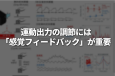 運動出力の調節には「感覚フィードバック」が重要