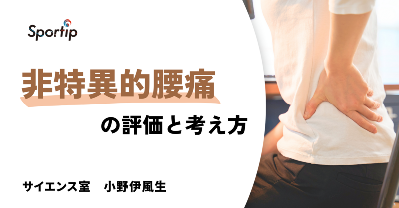 非特異的腰痛の評価と運動療法： | 理学療法士・作業療法士・言語聴覚