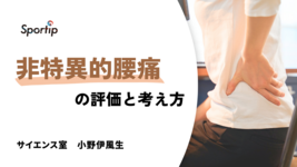 非特異的腰痛の評価と運動療法： | 理学療法士・作業療法士・言語聴覚