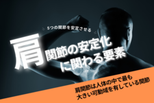 肩関節の安定化に関わる要素