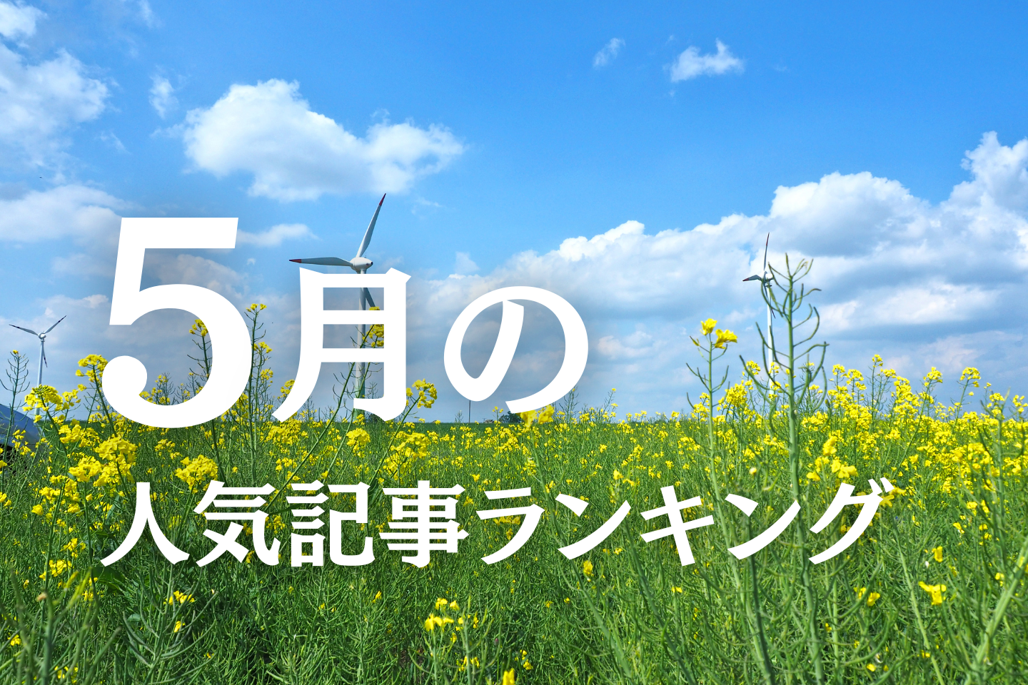 【5月】に一番読まれた記事はこれだ