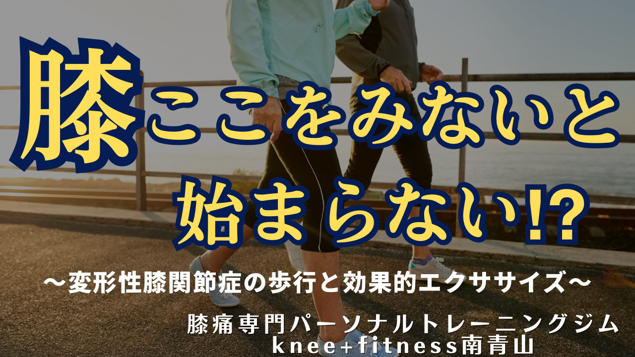 変形性膝関節症の歩行の特徴と効果的エクササイズ