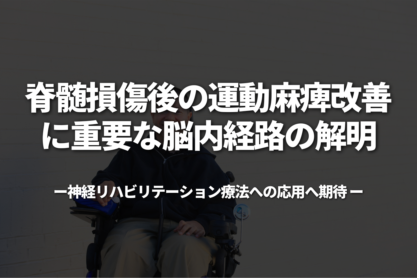 脊髄損傷後の運動麻痺改善に重要な脳内経路の解明 ―神経リハビリテーション療法への応用へ期待―