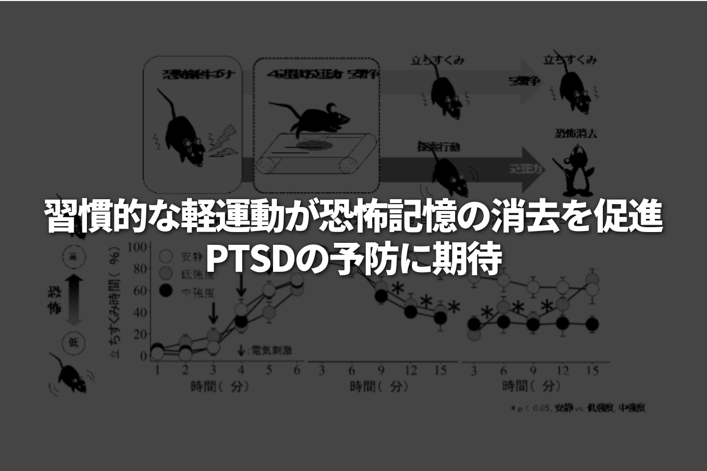 習慣的な軽運動が恐怖記憶の消去を促進、PTSDの予防に期待