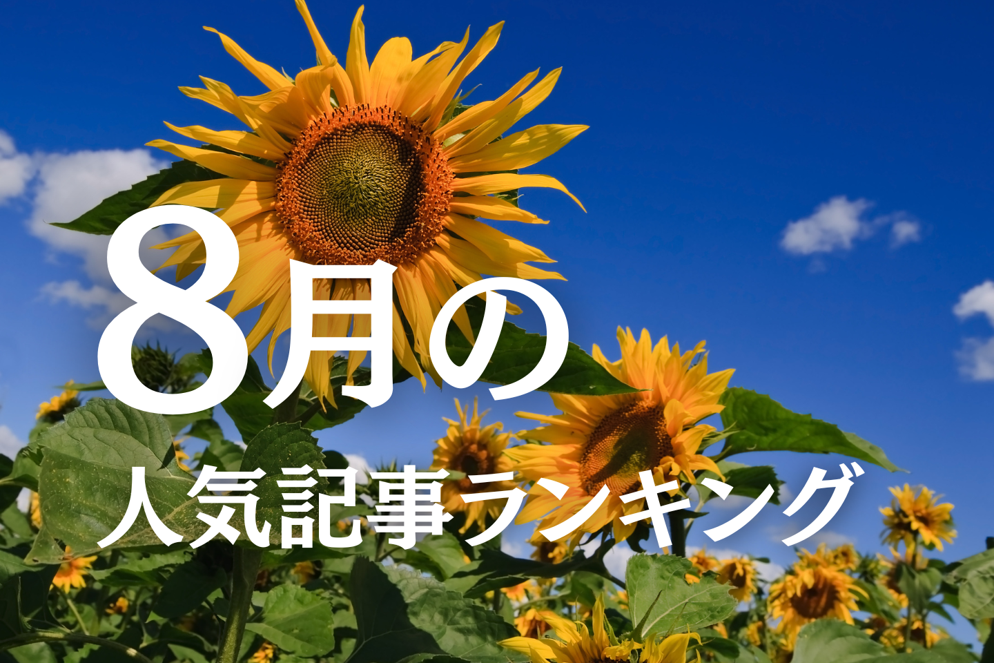 【8月】に一番読まれた記事はこれだ