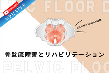 骨盤底障害とリハビリテーション