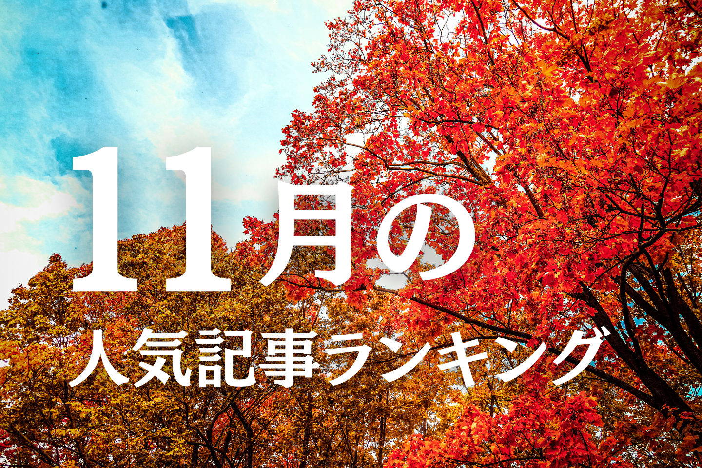 【11月】に一番読まれた記事はこれだ