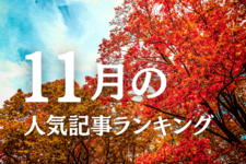 【11月】に一番読まれた記事はこれだ