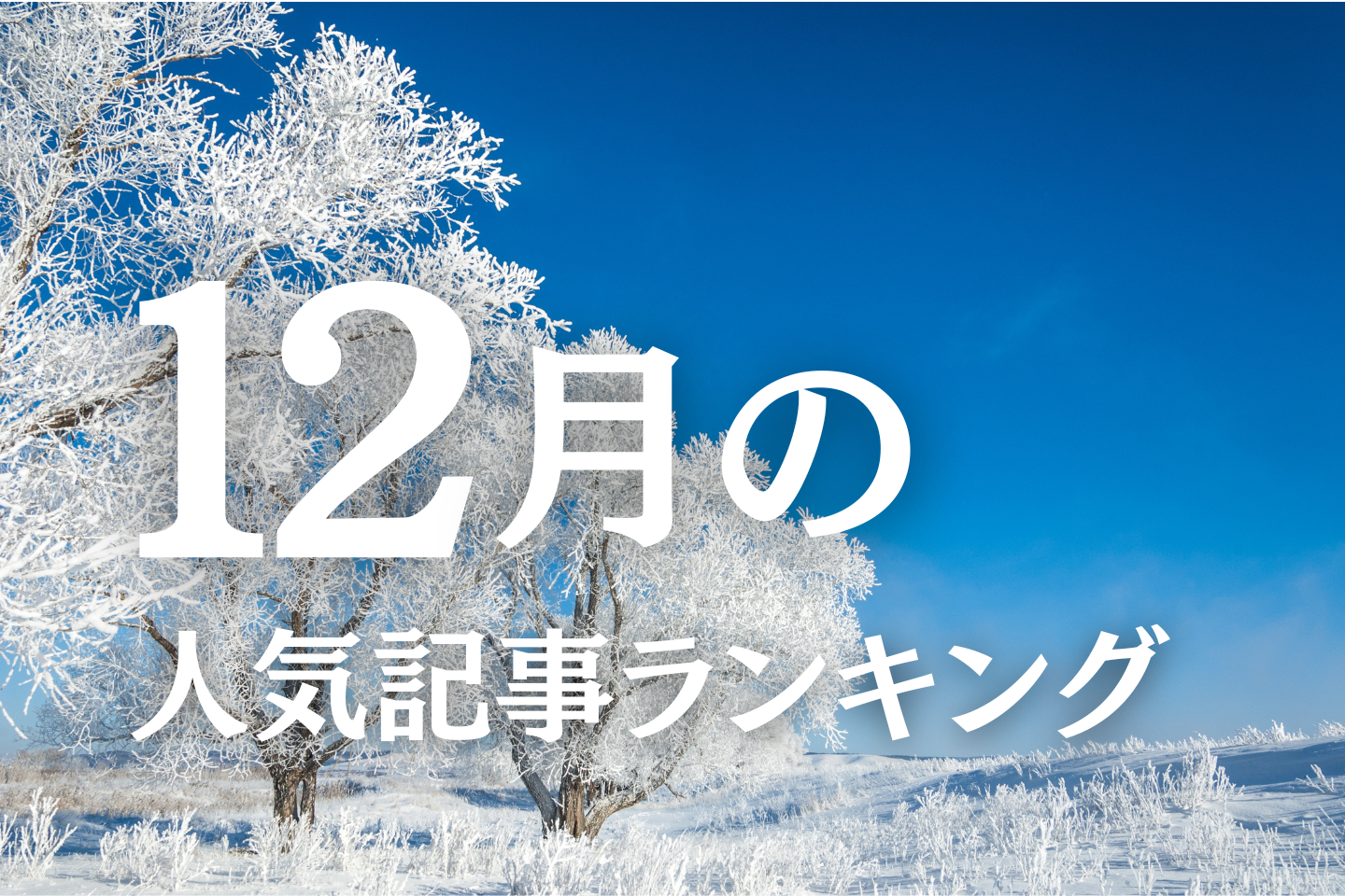 【12月】に一番読まれた記事はこれだ