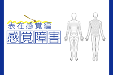 感覚障害の基礎-表在感覚編-
