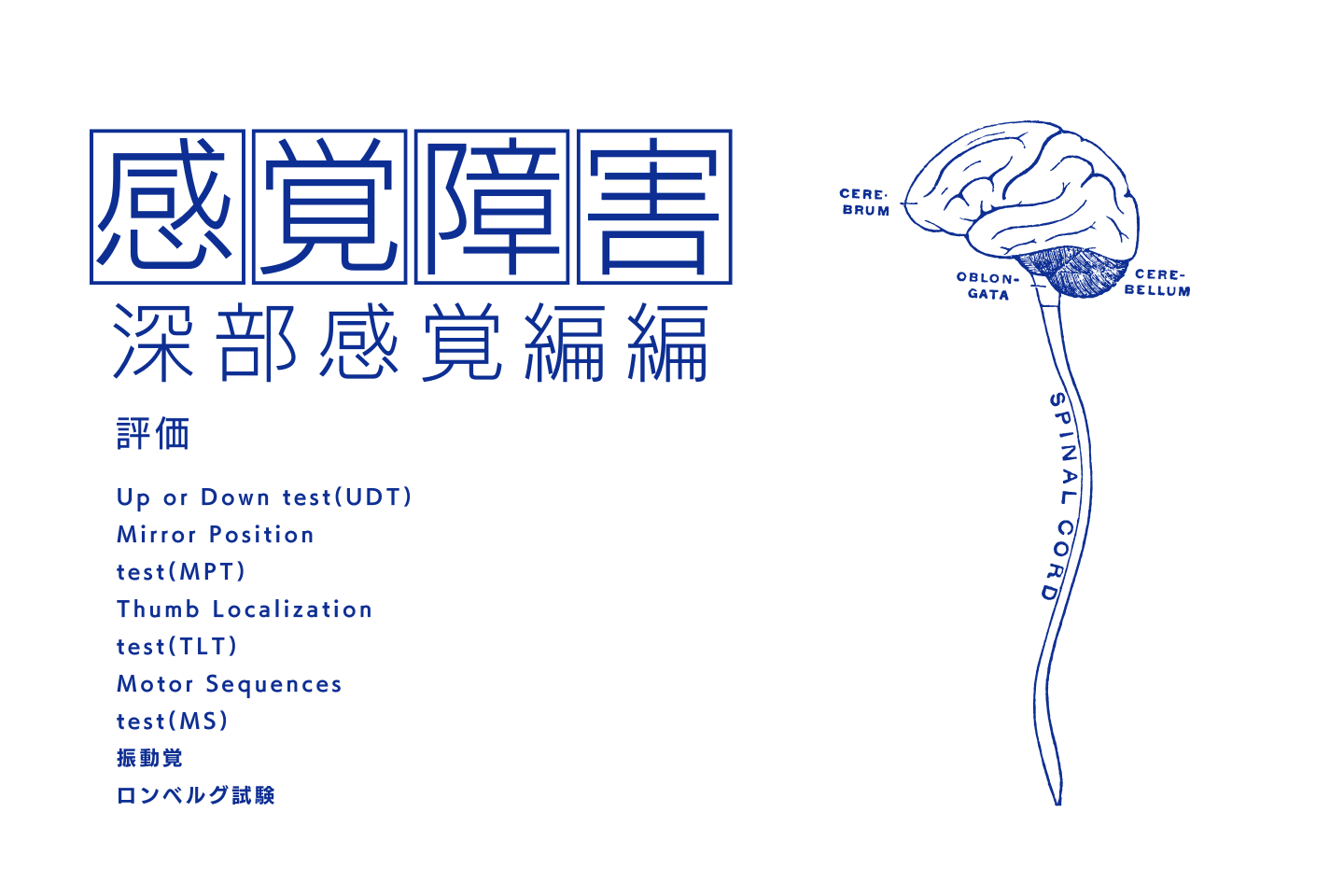 感覚障害の基礎-深部感覚編-