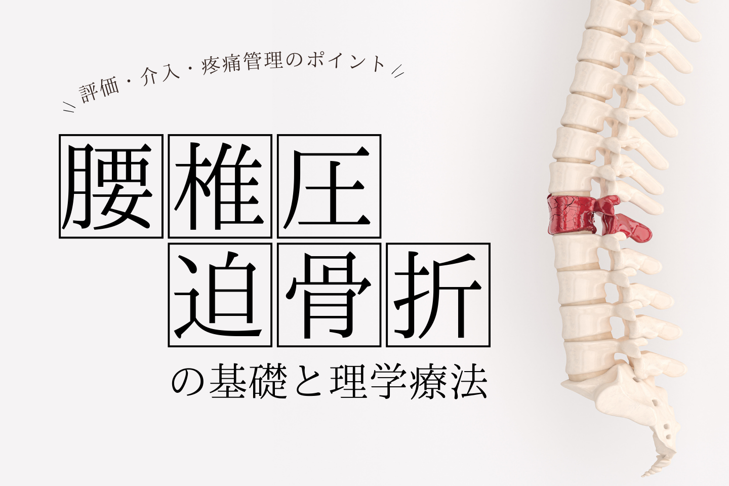 腰椎圧迫骨折の基礎と理学療法｜評価・介入・疼痛管理のポイント
