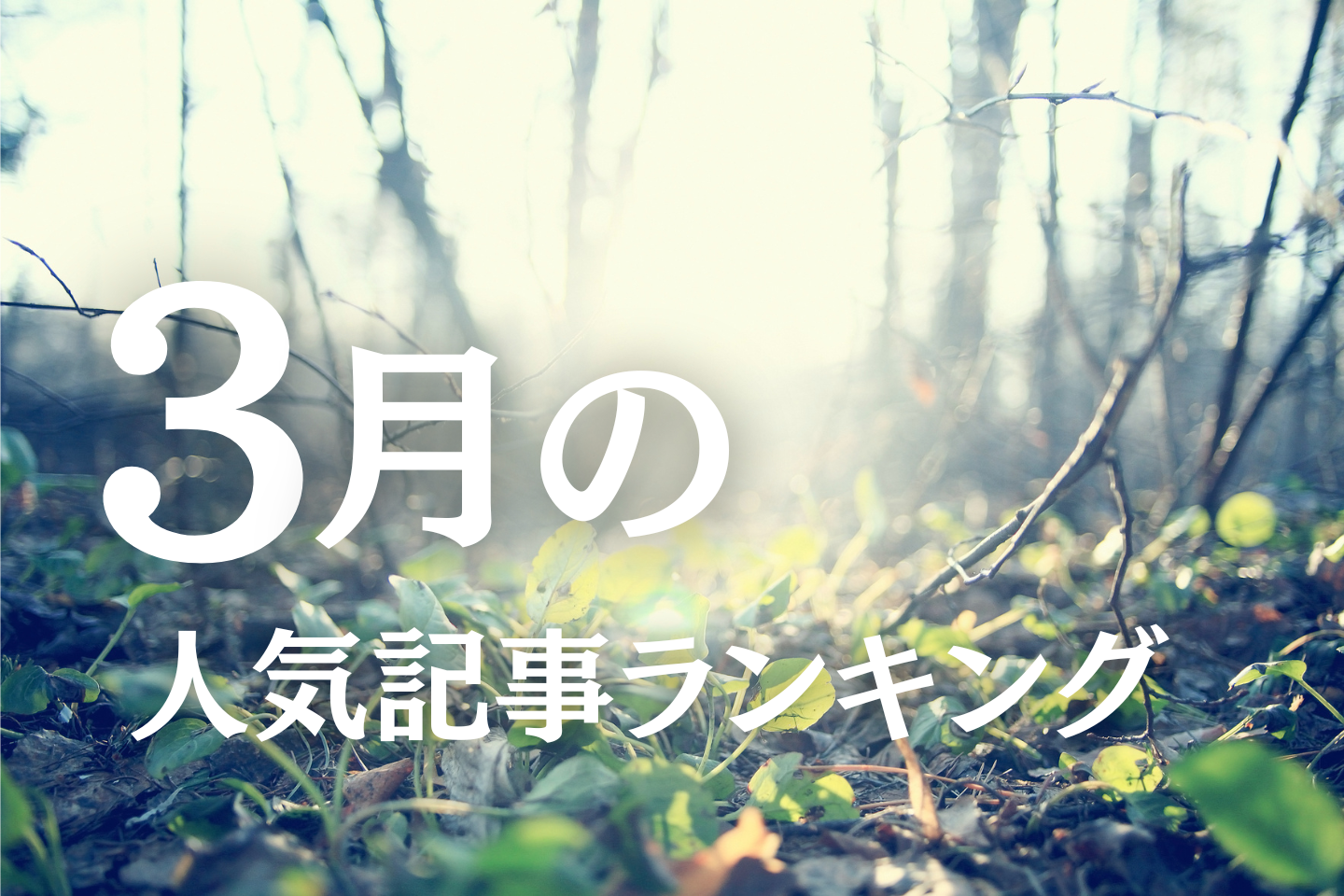 【3月】に一番読まれた記事はこれだ