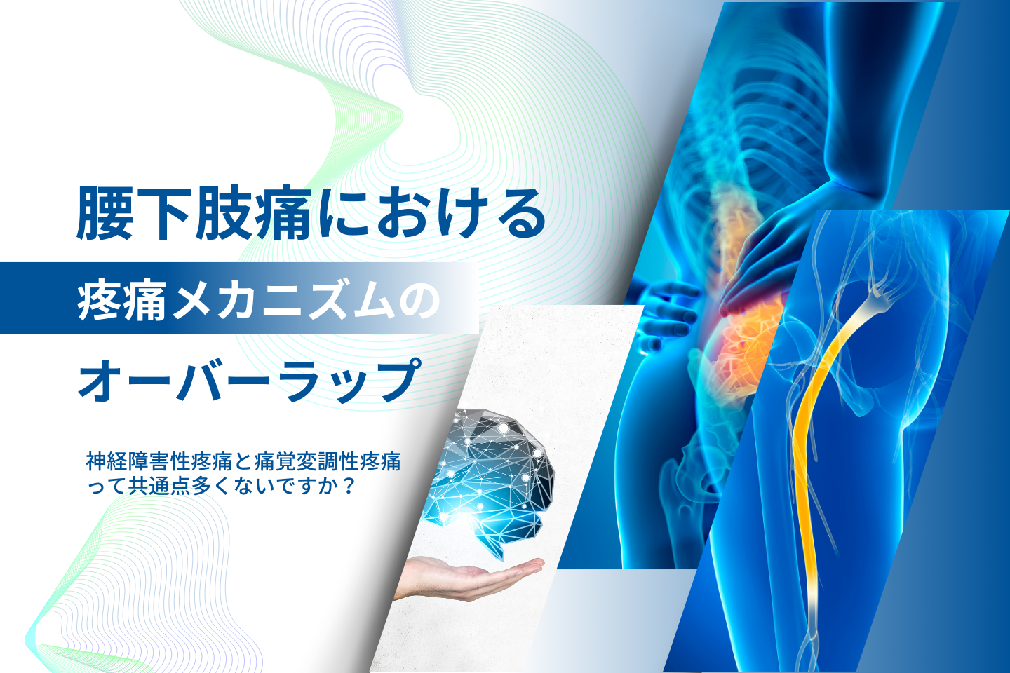 腰下肢痛における疼痛メカニズムのオーバーラップ