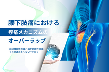 腰下肢痛における疼痛メカニズムのオーバーラップ