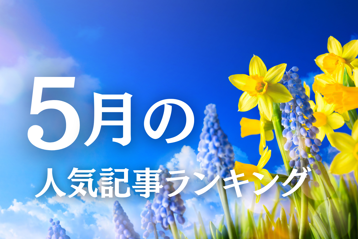 【5月】に一番読まれた記事はこれだ