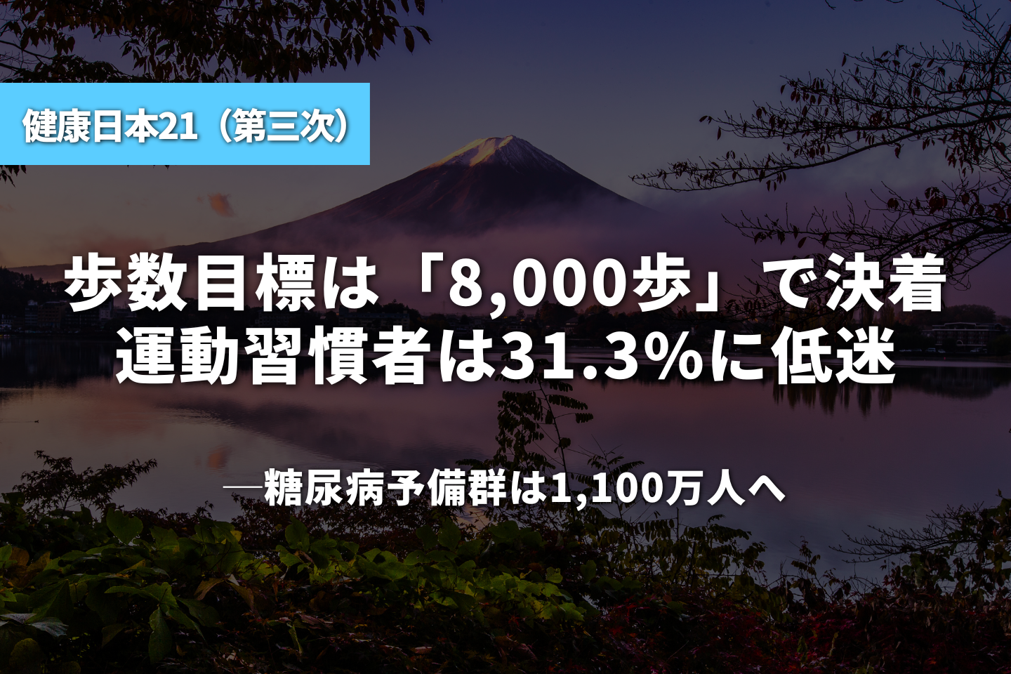 歩数目標は「8,000歩」で決着、運動習慣者は31.3%に低迷｜糖尿病予備群は1,100万人へ