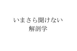 いまさら聞けない解剖学