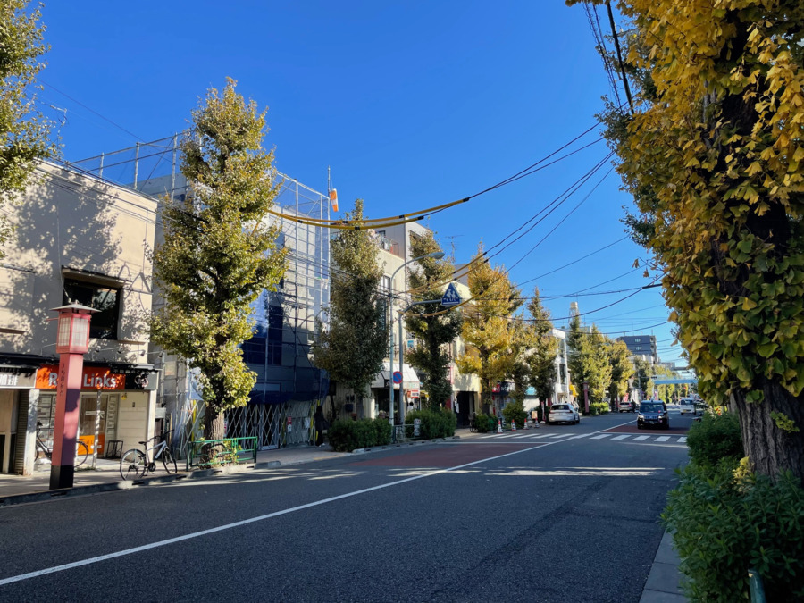 かみまちリウマチ整形外科【2025年04月オープン予定】の作業療法士求人（正職員）