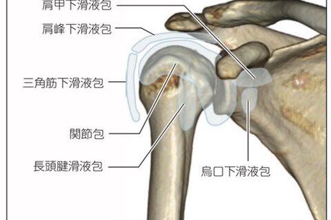 明日から使いたくなる！！肩関節疾患に対する評価と治療(理論編、実践編)
