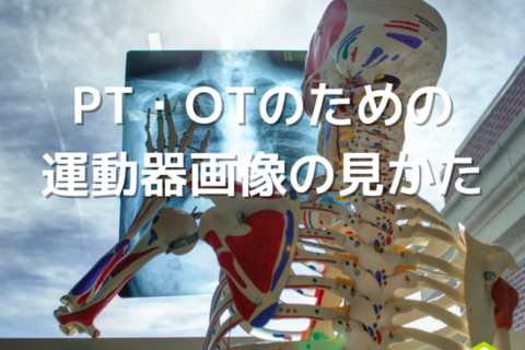 PT・OTのための運動器画像の診かた｜画像で得られる各組織の評価法