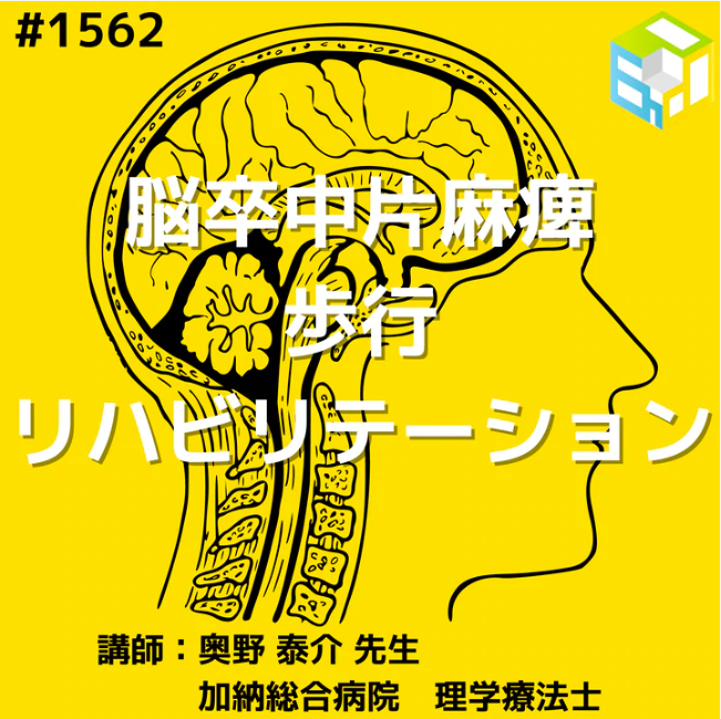 脳卒中片麻痺患者の歩行分析に必要な知識とリハビリテーション|短下肢装具装着症例の歩行分析