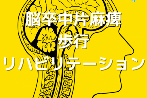 脳卒中片麻痺患者の歩行分析に必要な知識とリハビリテーション｜短下肢装具装着症例の歩行分析
