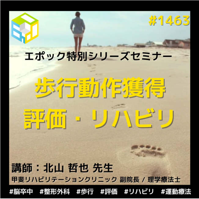 理学療法士・作業療法士向け歩行動作の評価技術とリハビリセミナー｜立位バランス