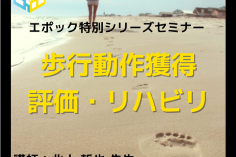 理学療法士・作業療法士向け歩行動作の評価技術とリハビリセミナー｜階段昇降
