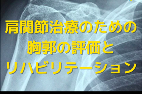 理学療法士・作業療法士向け肩関節運動における胸郭の評価とリハビリ