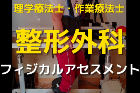 整形外科で働く理学療法士・作業療法士向けフィジカルアセスメント｜一括申込
