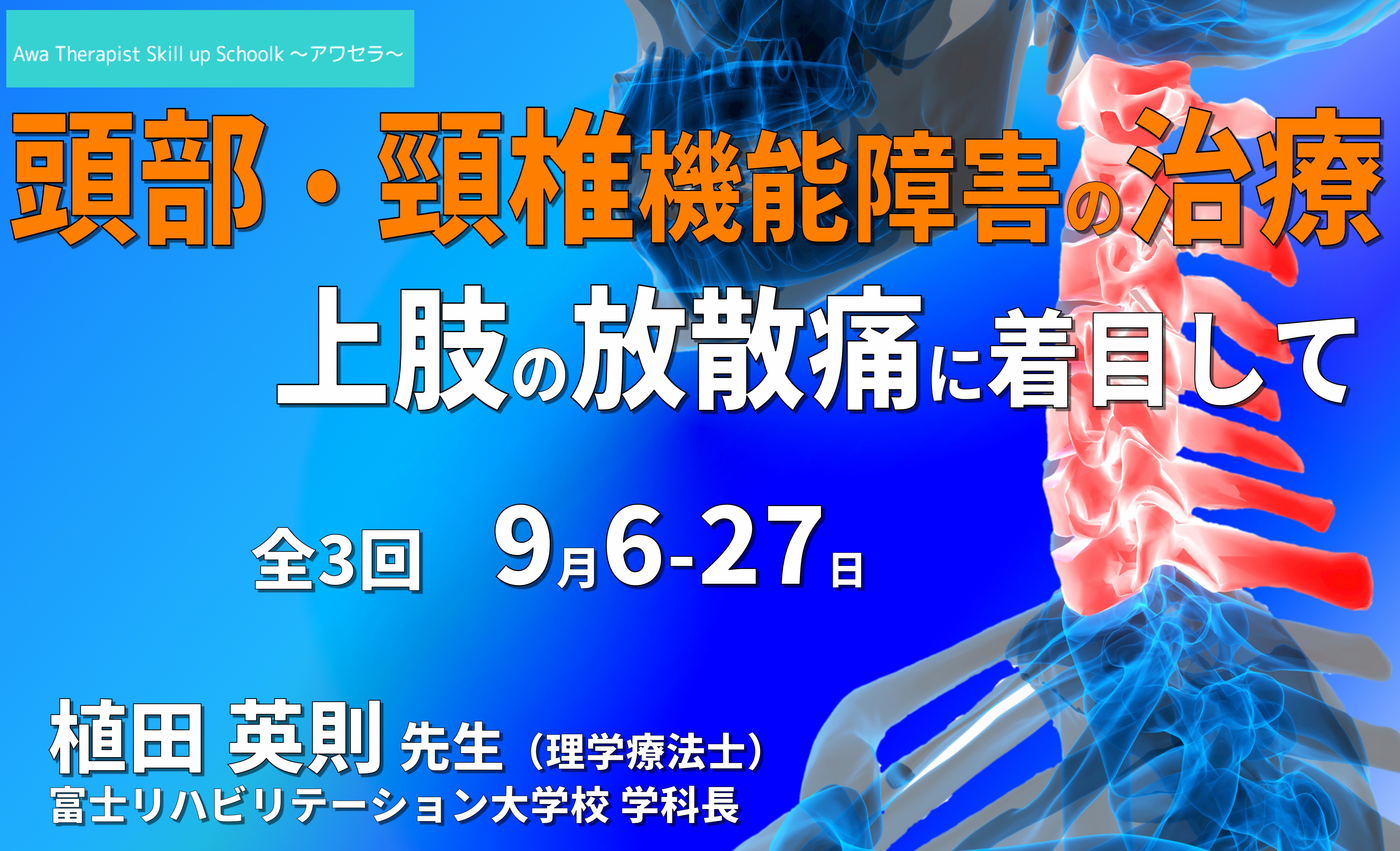 【病態理解と治療】頭部・頸椎機能障害の評価と治療介入~上肢への放散痛に着目して~ ※復習動画あり ~アワセラ1month school~