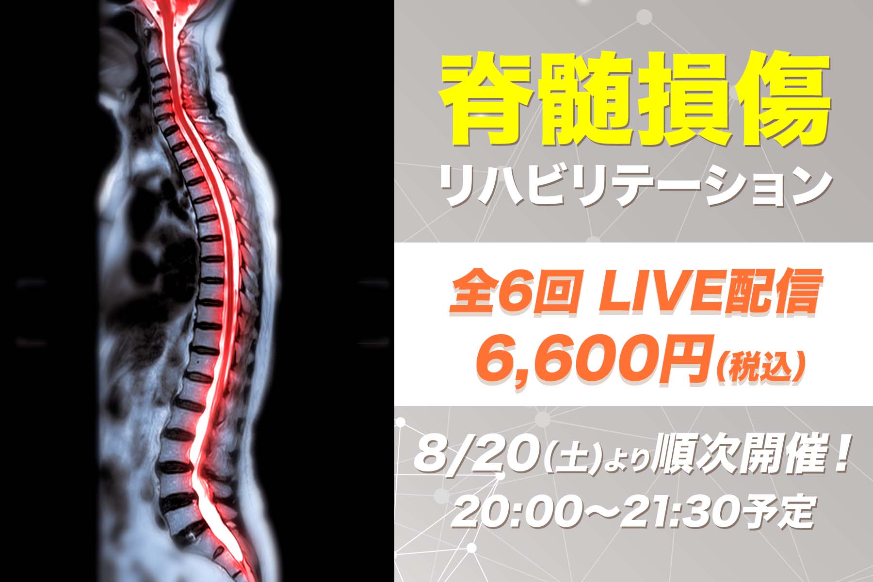 【8月20日他開催】脊髄損傷リハビリテーション