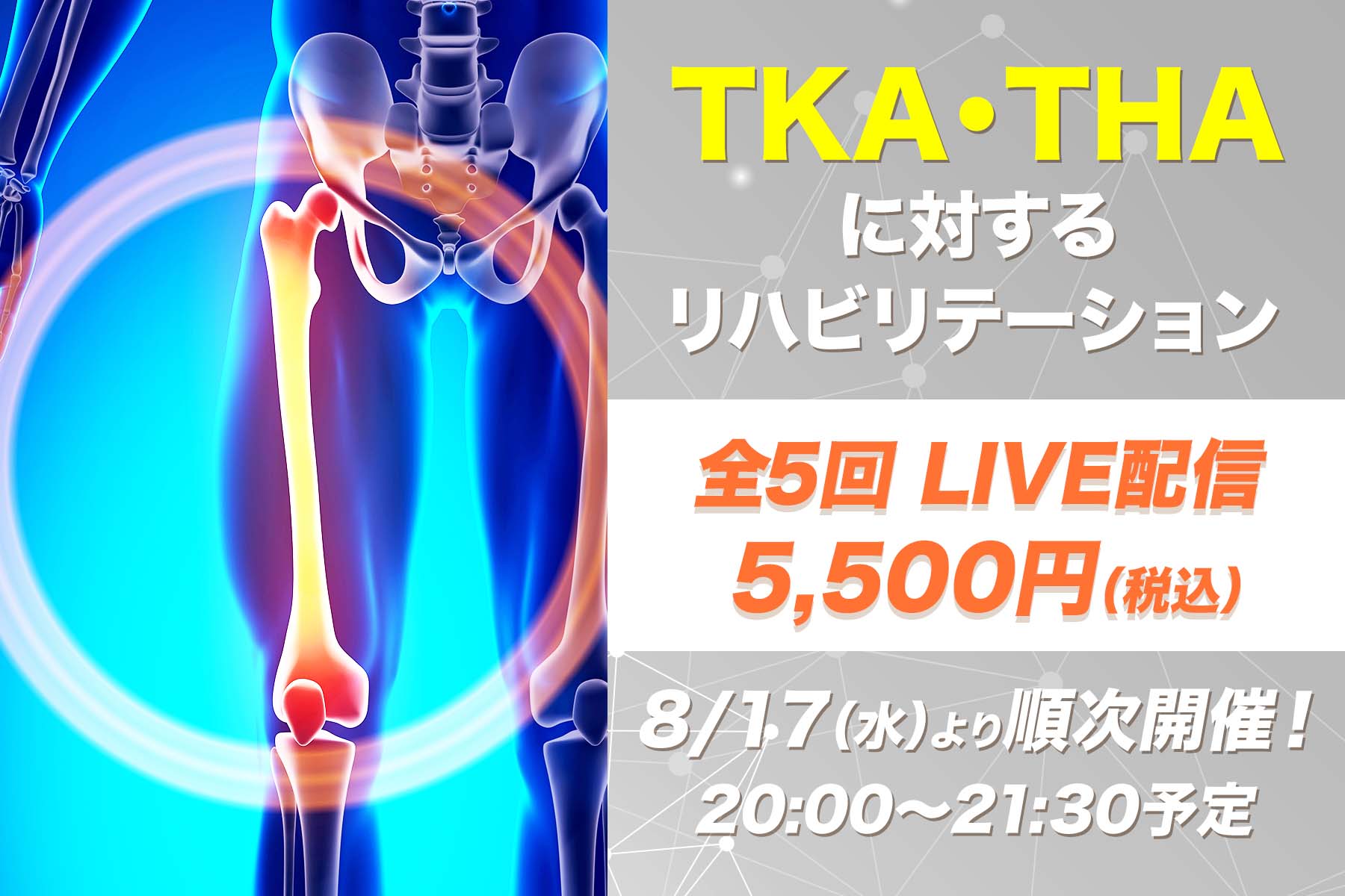 【8月17日他開催】TKA・THAに対するリハビリテーション ～作業療法としての評価・実践方略からマネジメントまで～