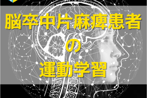 脳卒中片麻痺患者の運動学習とリハビリ | 身体の動きと体性感覚に基づく運動学習