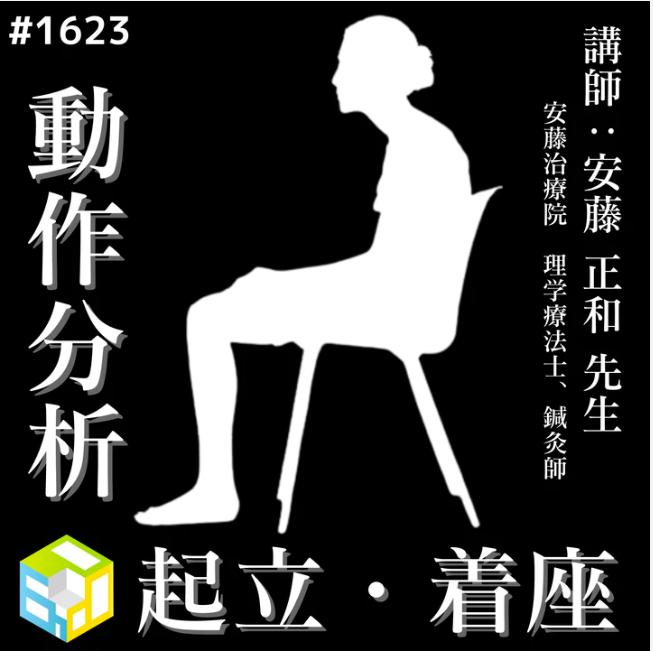 若手理学療法士・作業療法士のための動作分析の臨床応用|立ち上がり・着座動作