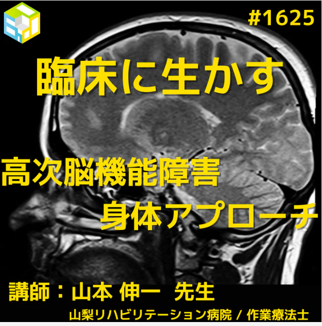 臨床に活かす高次脳機能障害と身体アプローチ|各種症状の理解からMovementーTherapyへ