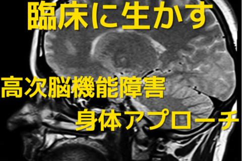 臨床に活かす高次脳機能障害と身体アプローチ｜各種症状の理解からMovementｰTherapyへ
