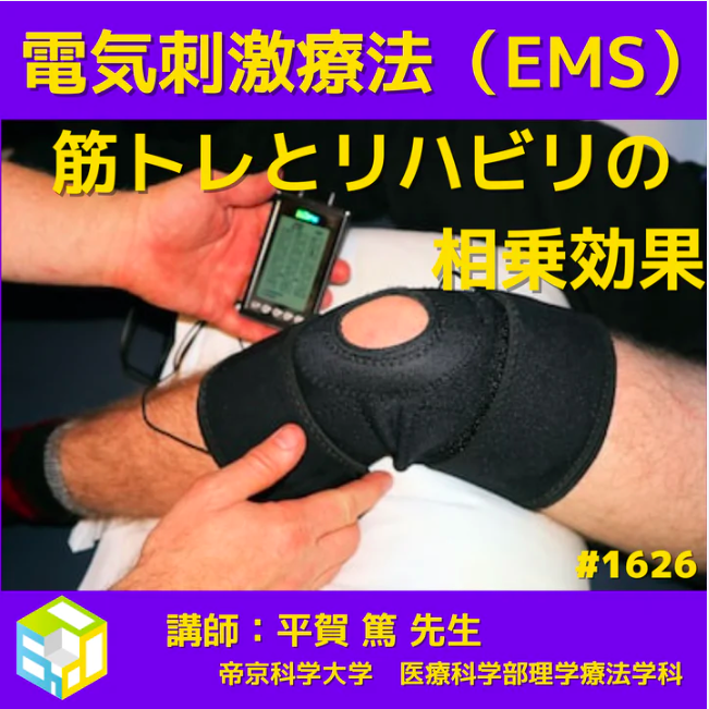 若手PT・OT向け電気刺激療法（EMS）のリハビリ臨床活用｜筋出力に着目して