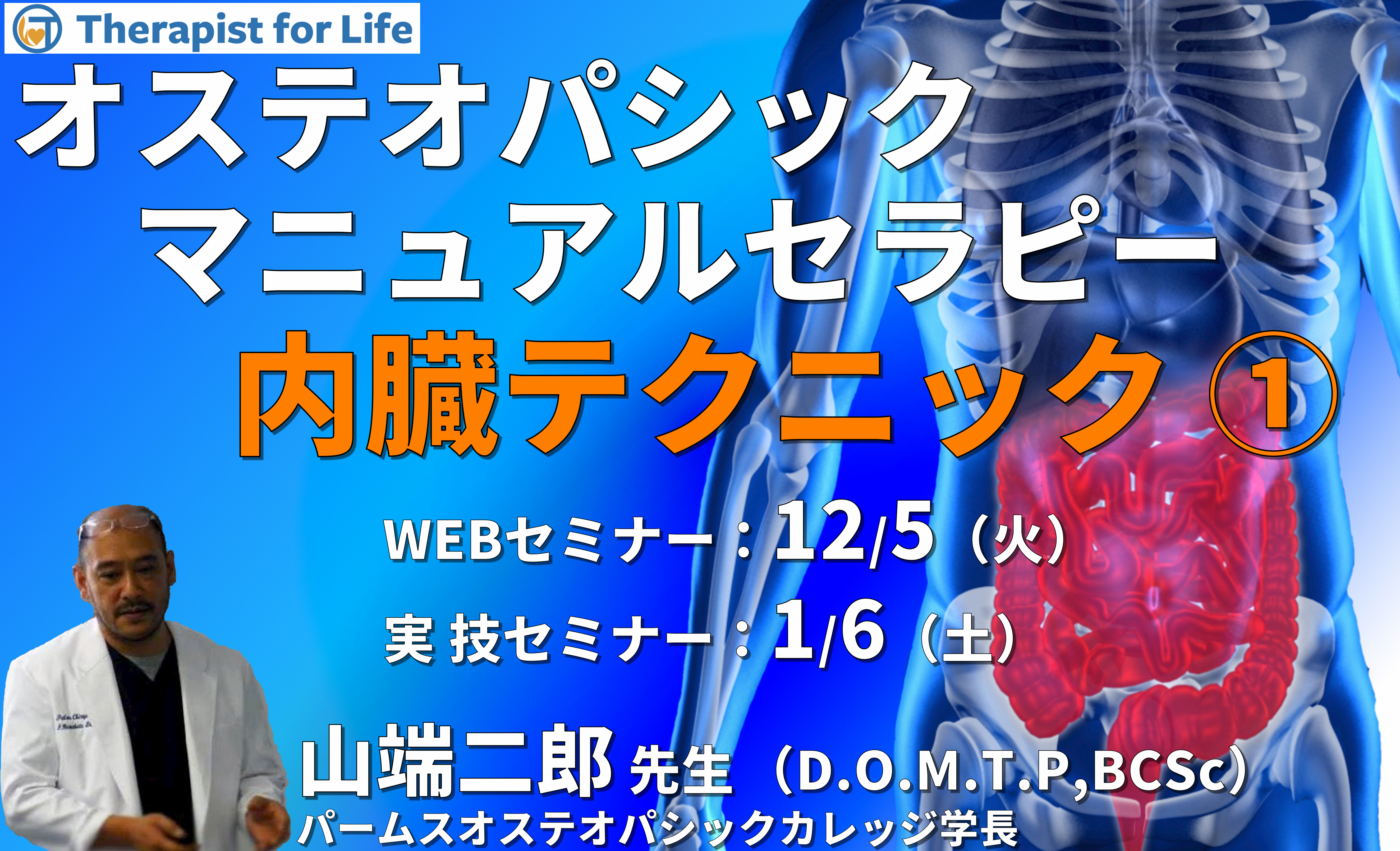 ※対面実技あり【オステオパシックマニュアルセラピー】第11回：内臓テクニック１（肝臓、胆嚢、胆管、膵臓、脾臓）