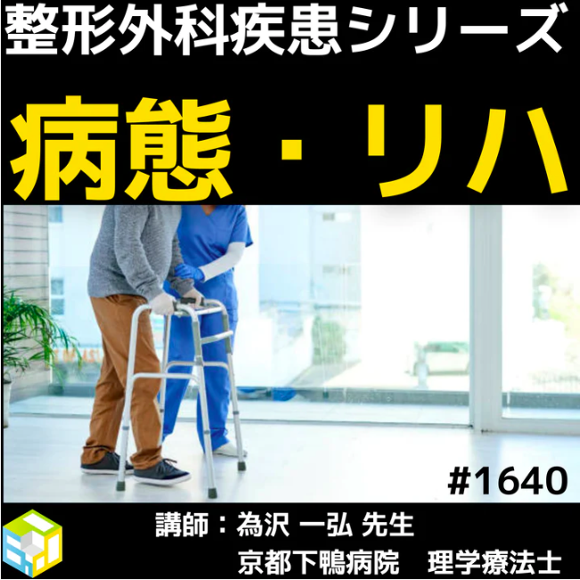若手理学療法士向け股関節唇損傷の病態理解とリハビリテーション