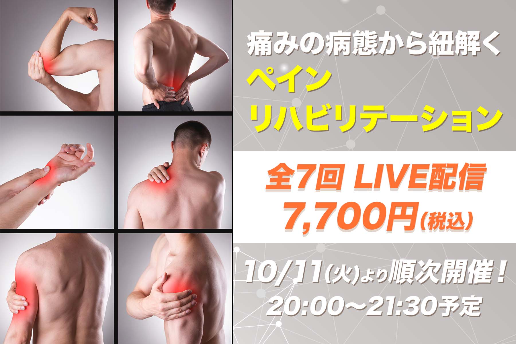 【10月11日開催他】痛みの病態から紐解くペインリハビリテーション