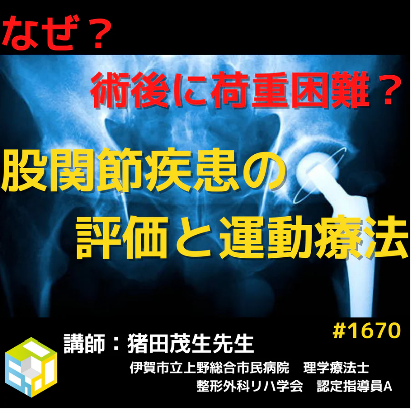 理学療法士が学ぶべき股関節疾患・外傷の術後荷重困難に対する評価と運動療法