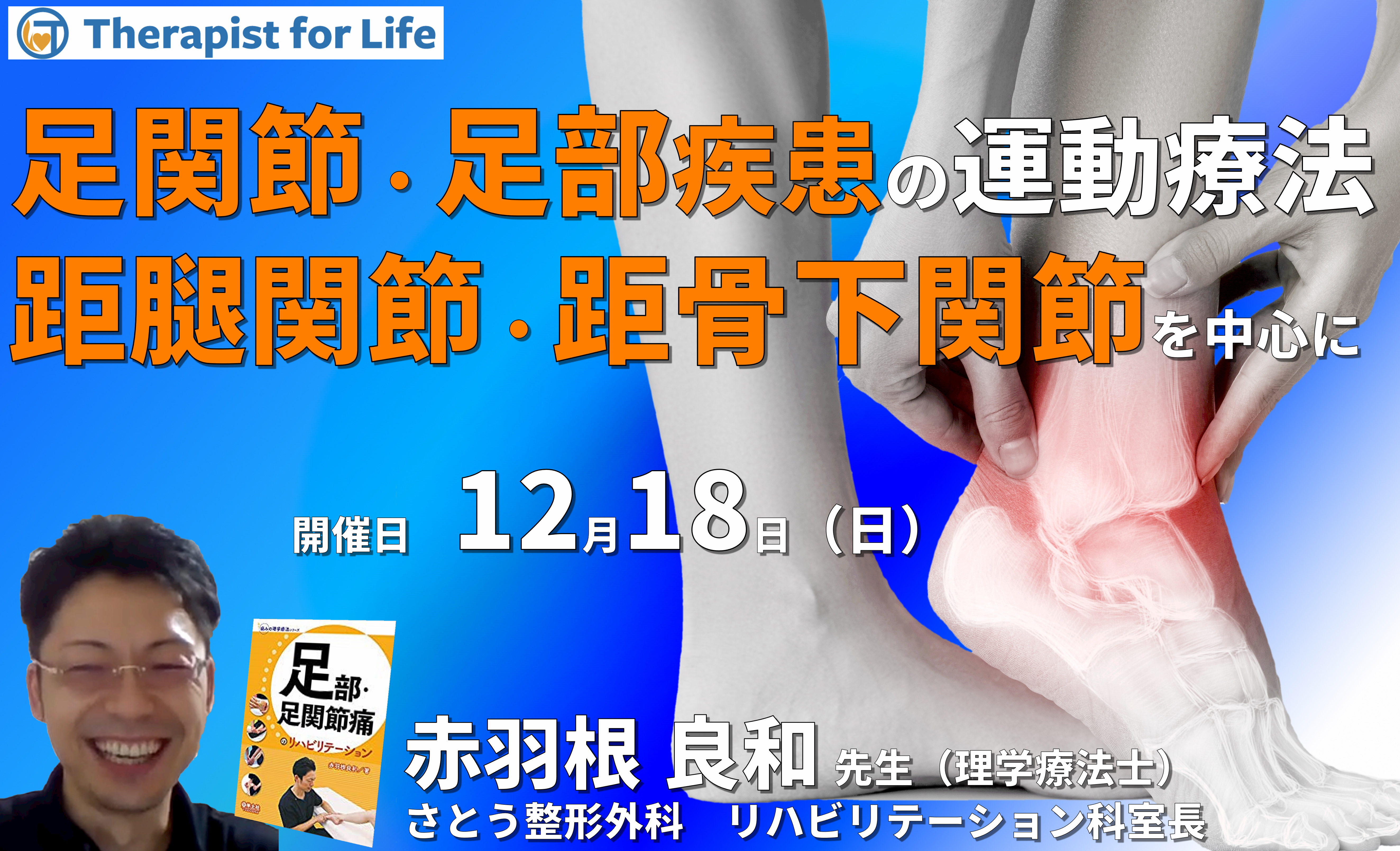 機能解剖学からみた足関節・足部疾患に対する評価と運動療法～距腿関