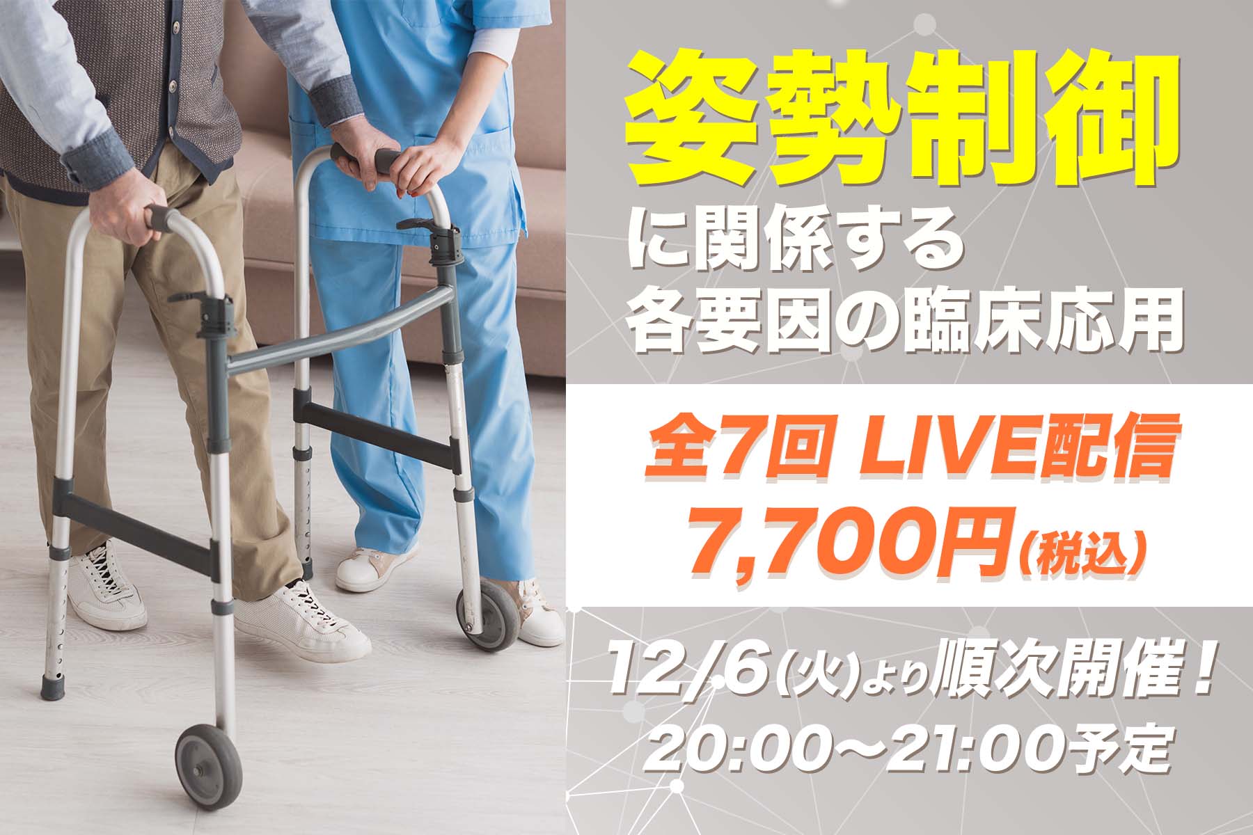 【12月6日他開催】姿勢制御に関係する各要因の臨床応用