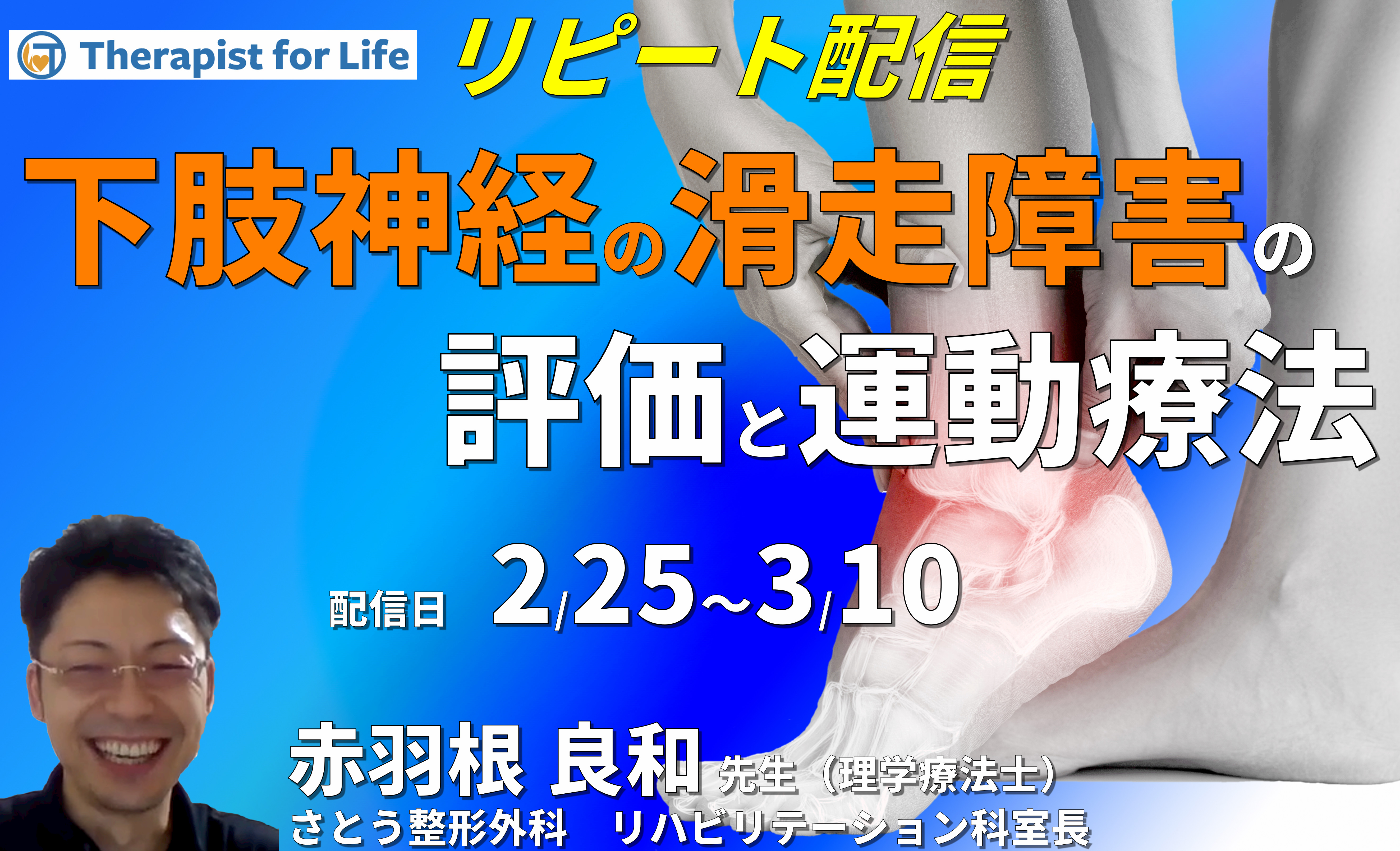 下肢の神経の滑走障害の評価と治療～骨・筋・神経の触診を中心に〜　講師：赤羽根良和先生